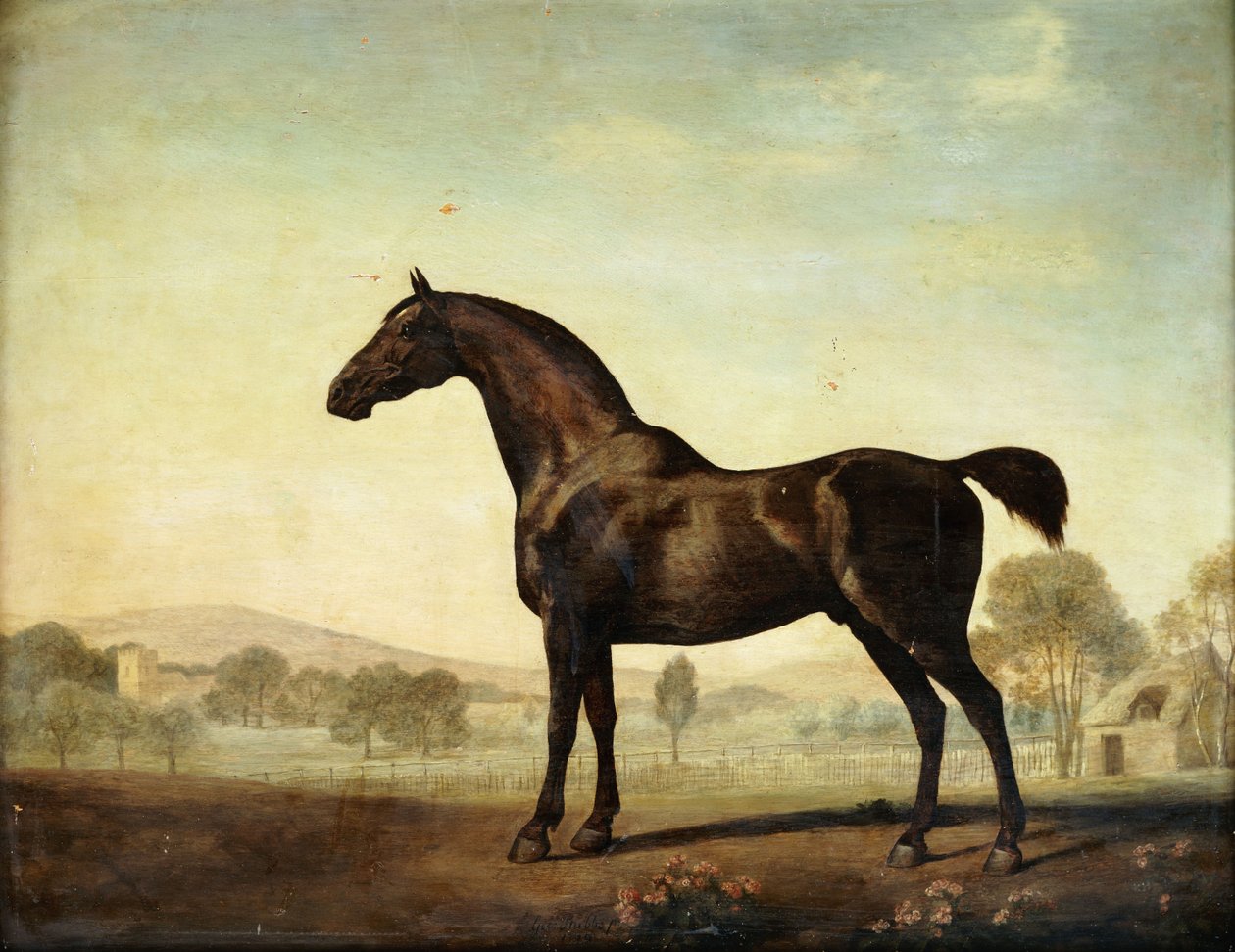 Sweetwilliam”, Bay Racehors, na padoku, 1779 autorstwa George Stubbs