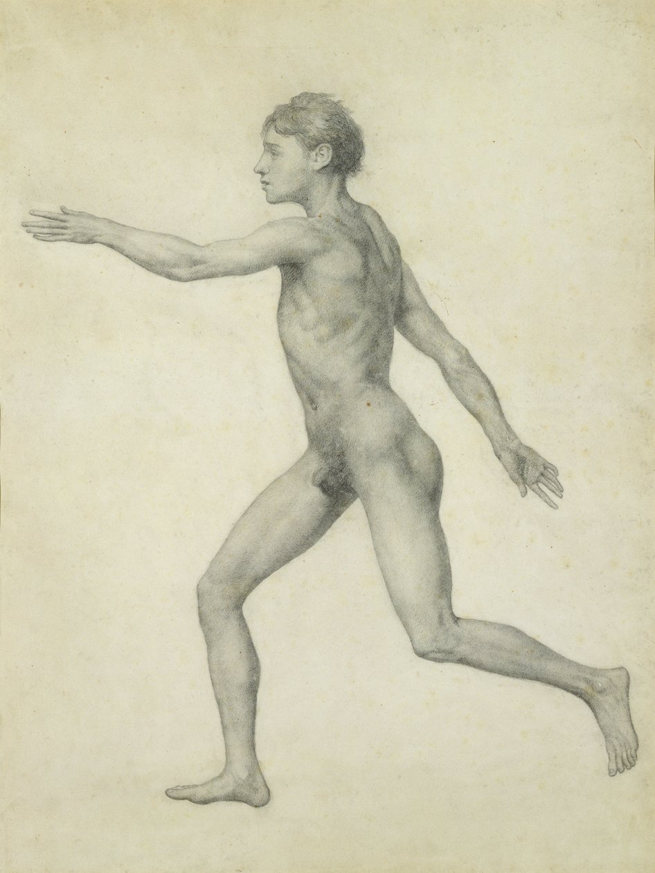 Cała postać ludzka od lewej, widok z boku, z serii „Porównawcze przedstawienie anatomiczne budowy ciała ludzkiego z ciałem tygrysa i drobiu pospolitego autorstwa George Stubbs