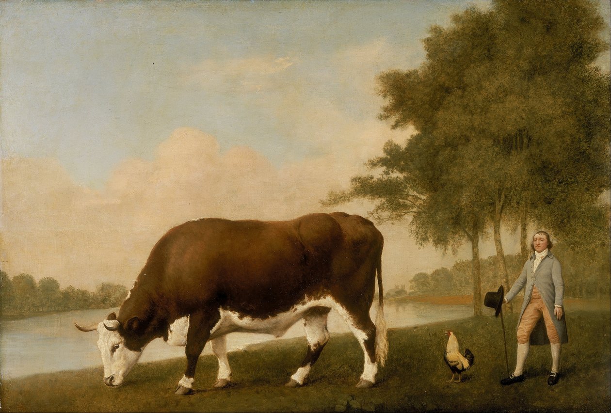 The Lincolnshire Ox autorstwa George Stubbs
