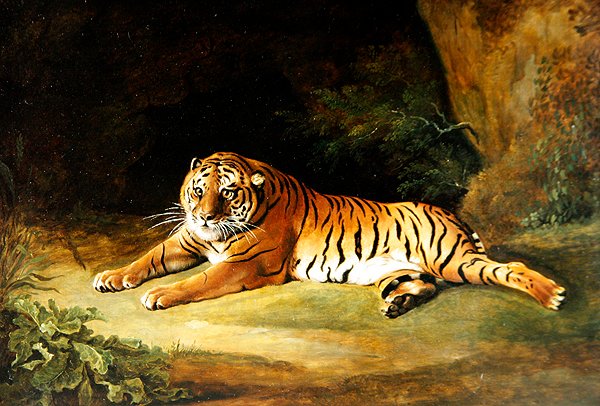 Tygrys (olej na płótnie) autorstwa George Stubbs