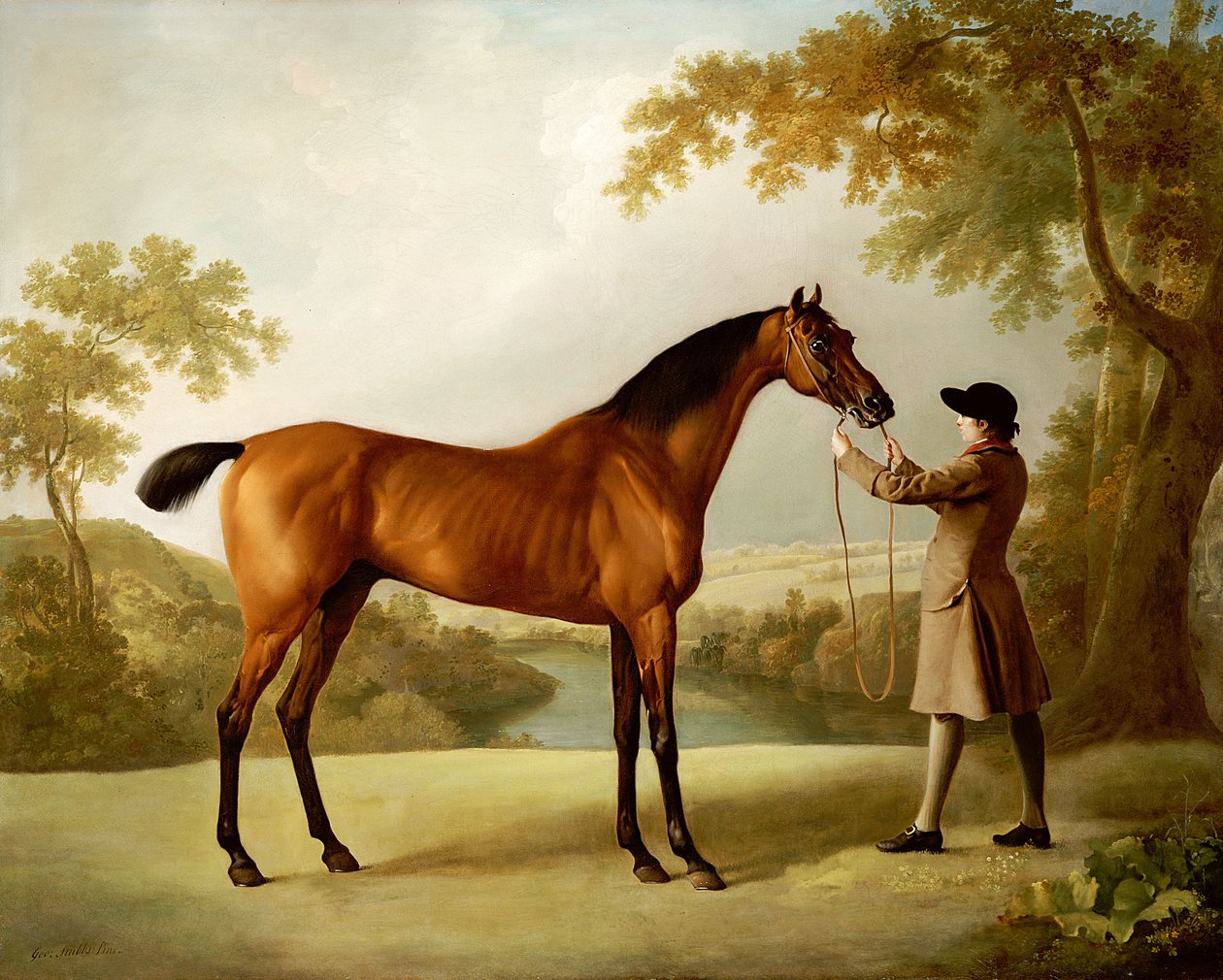 Tristram Shandy, koń wyścigowy Bay trzymany przez pana młodego w rozległym krajobrazie, c.1760 autorstwa George Stubbs