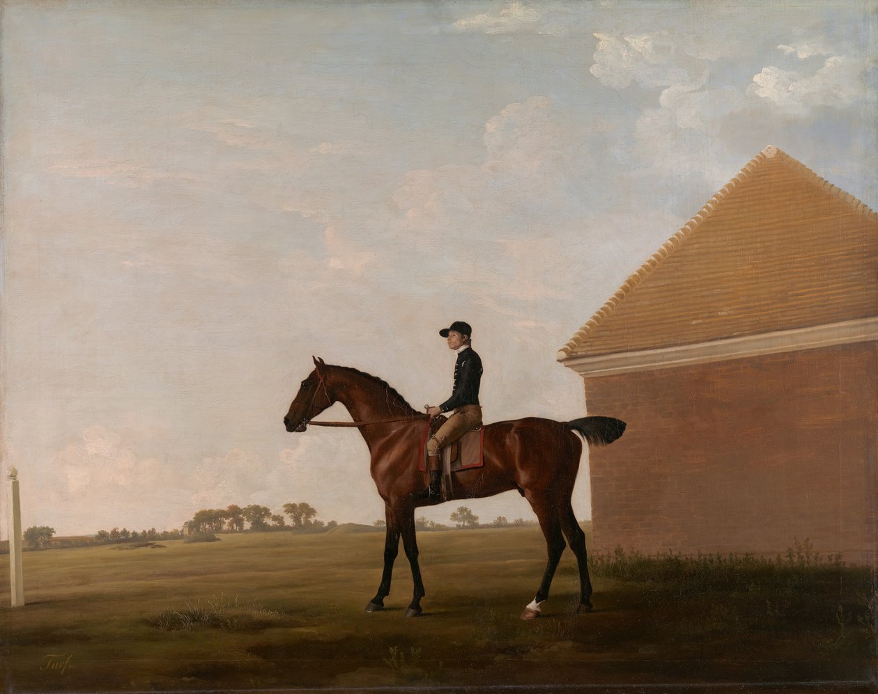 Turf, z Jockey na górze, w Newmarket, ca. 1766. autorstwa George Stubbs
