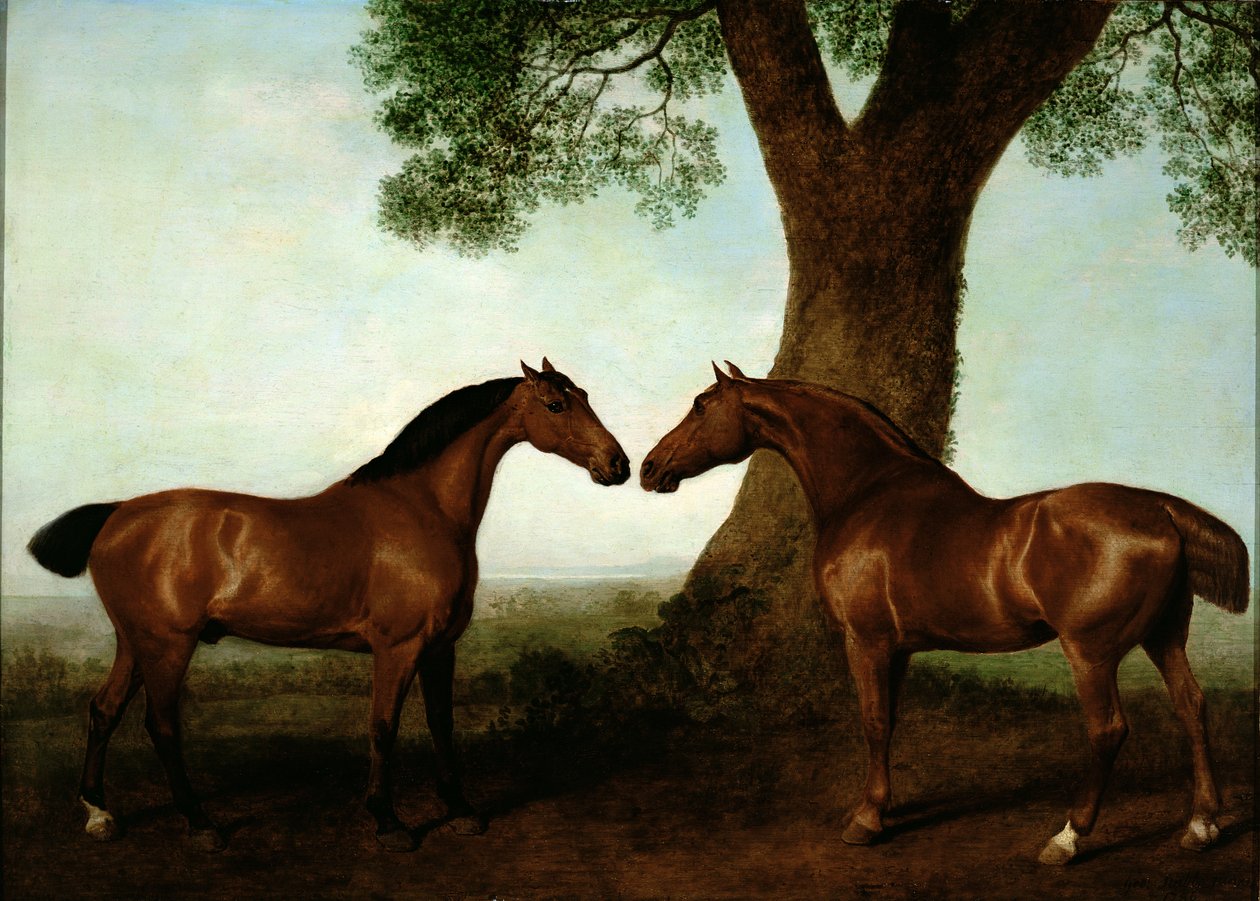 Dwóch łowców zatok przy drzewie, 1786 autorstwa George Stubbs