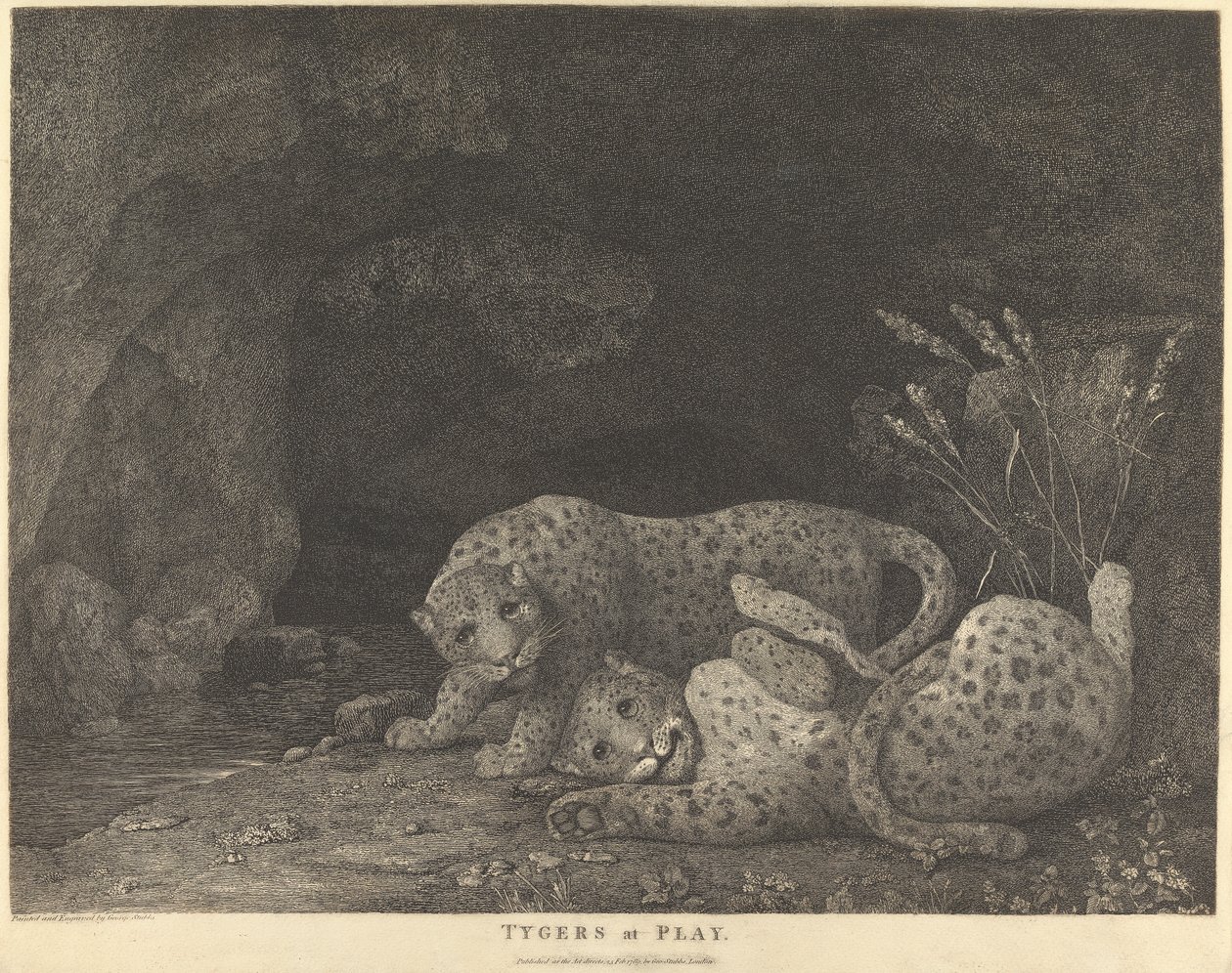 Tygery w zabawie autorstwa George Stubbs