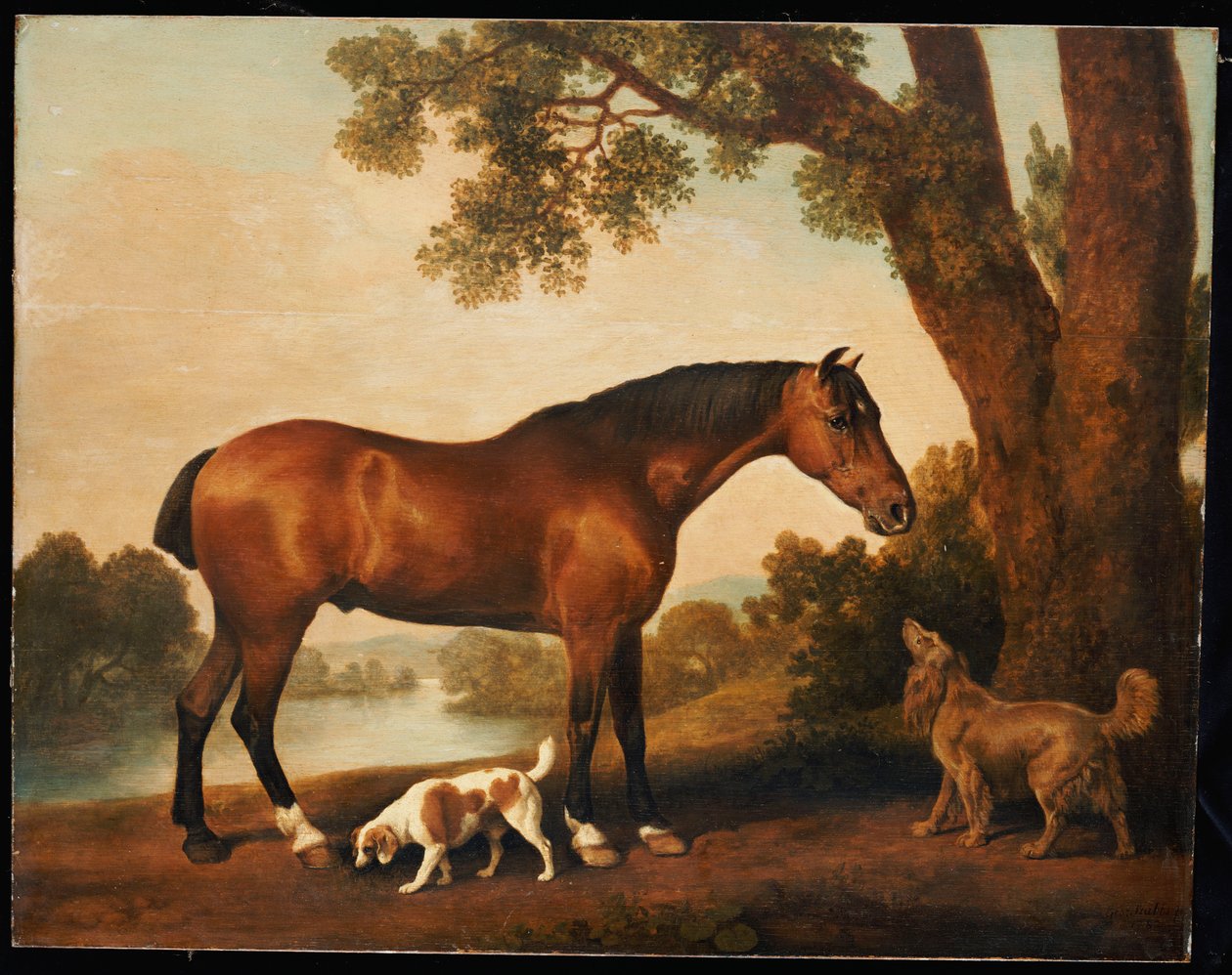 Nieznany obraz autorstwa George Stubbs
