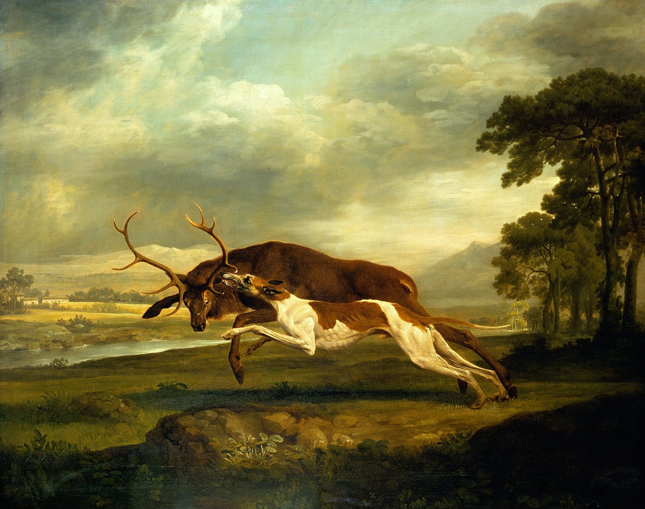 Nieznany obraz autorstwa George Stubbs