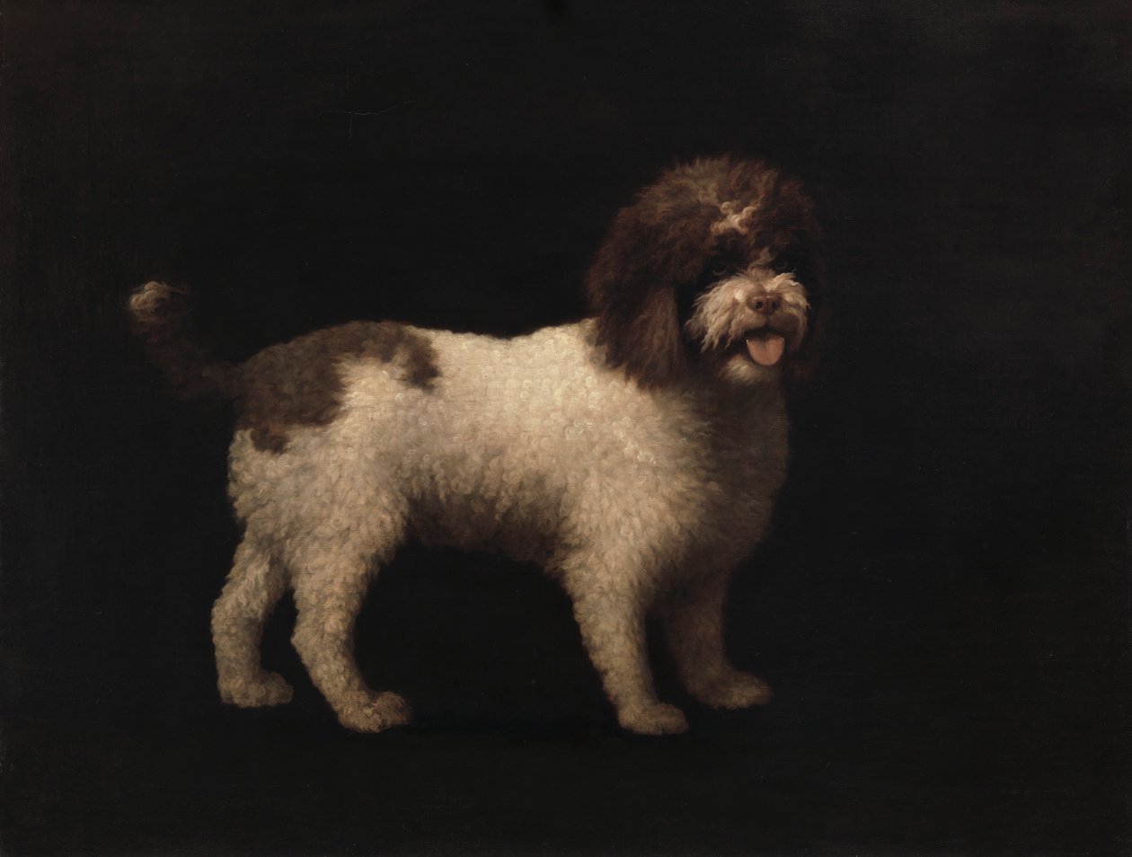 Spaniel wodny autorstwa George Stubbs