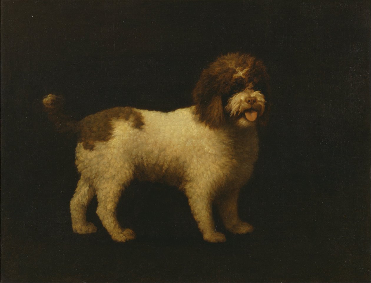Spaniel wodny autorstwa George Stubbs