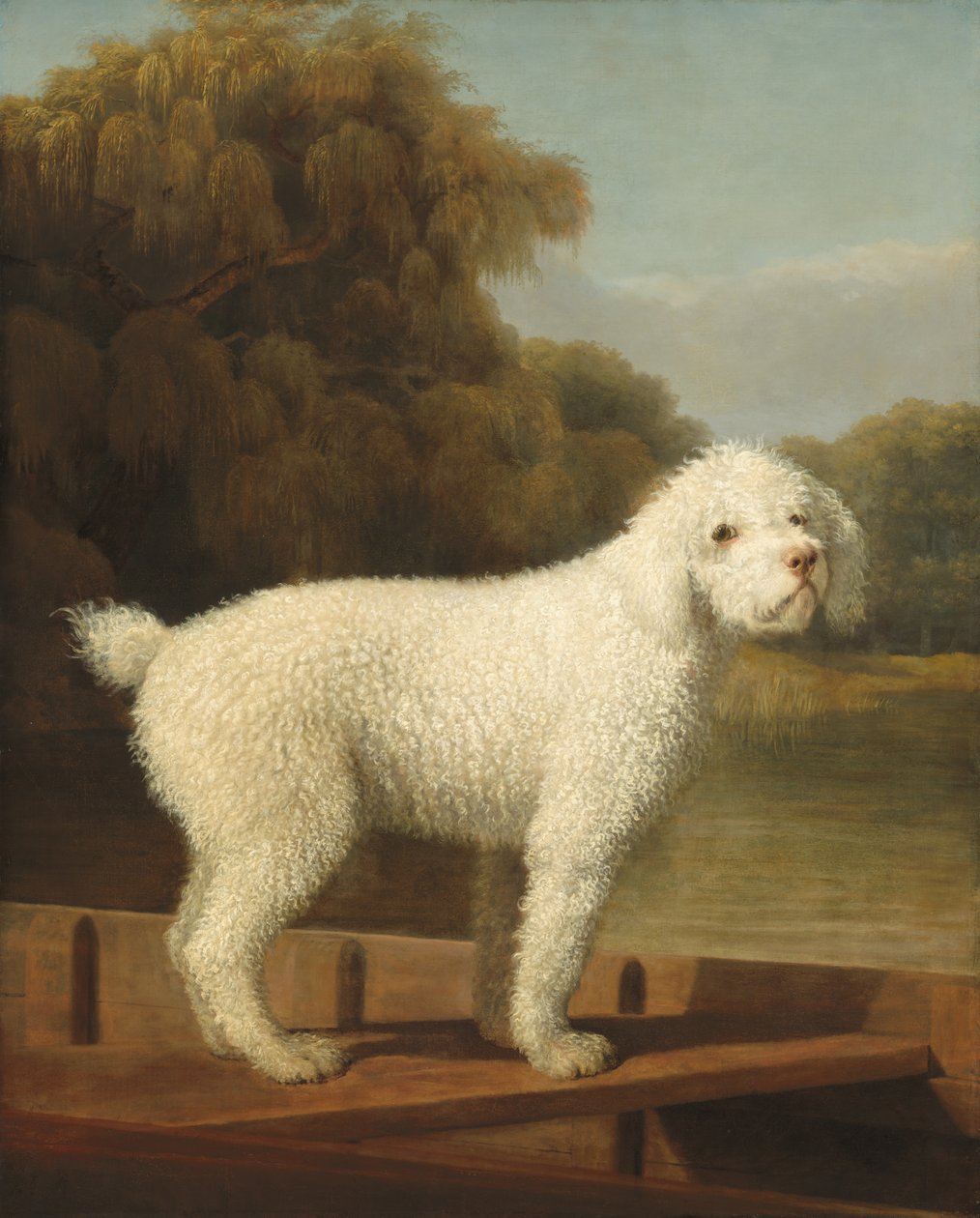 Biały pudel w łodzie autorstwa George Stubbs