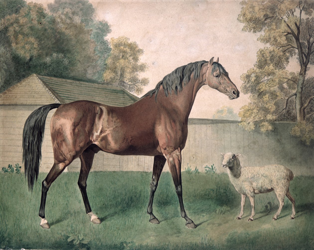 „Dungannon” (akwarela na papierze) autorstwa George Townley Stubbs