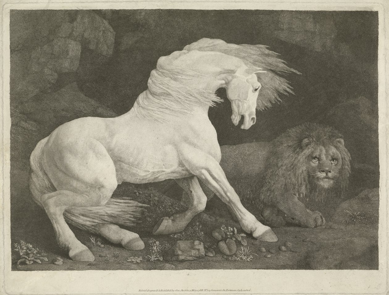 Koń i lew, 1770 (mezzotinta) autorstwa George Townley Stubbs