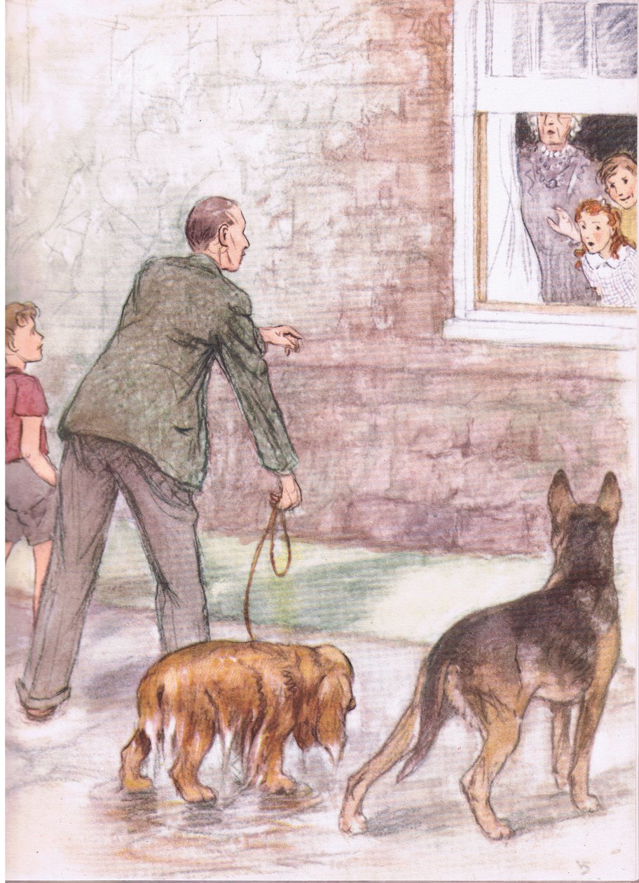 Spaniele ociekały błotem i szlamem, od Pets Limited opublikowanego przez Collins autorstwa George Vernon Stokes