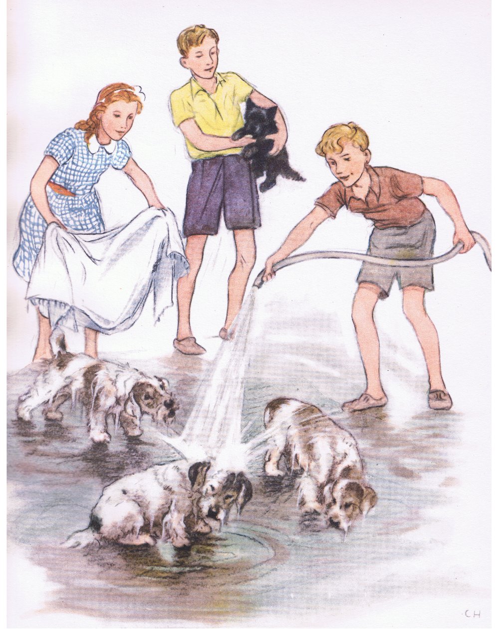 Mycie psów, od Pets Limited opublikowane przez Collins autorstwa George Vernon Stokes