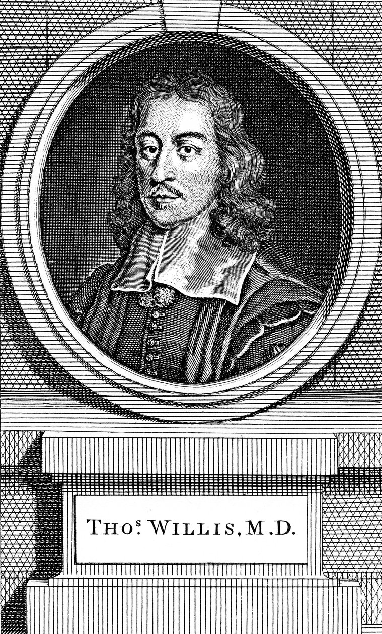 Thomas Willis, XVII-wieczny angielski lekarz, 1742 autorstwa George Vertue