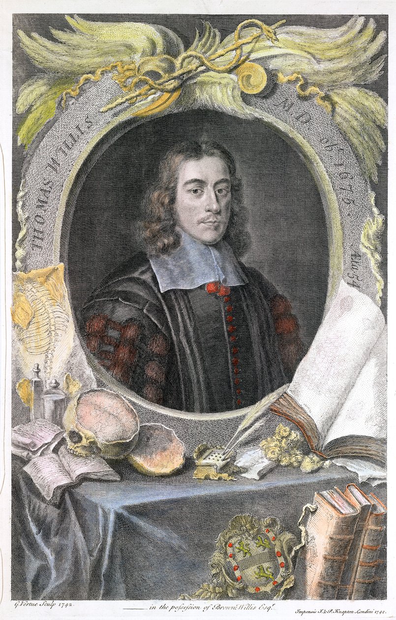 Thomas Willis, XVII-wieczny angielski lekarz, 1742 autorstwa George Vertue