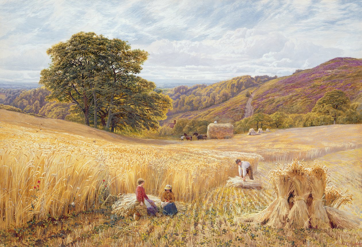 Czas zbiorów w pobliżu Holmbury Hill, Surrey, 1865 (toaleta i kolor nadwozia na papierze) autorstwa George Vicat Cole