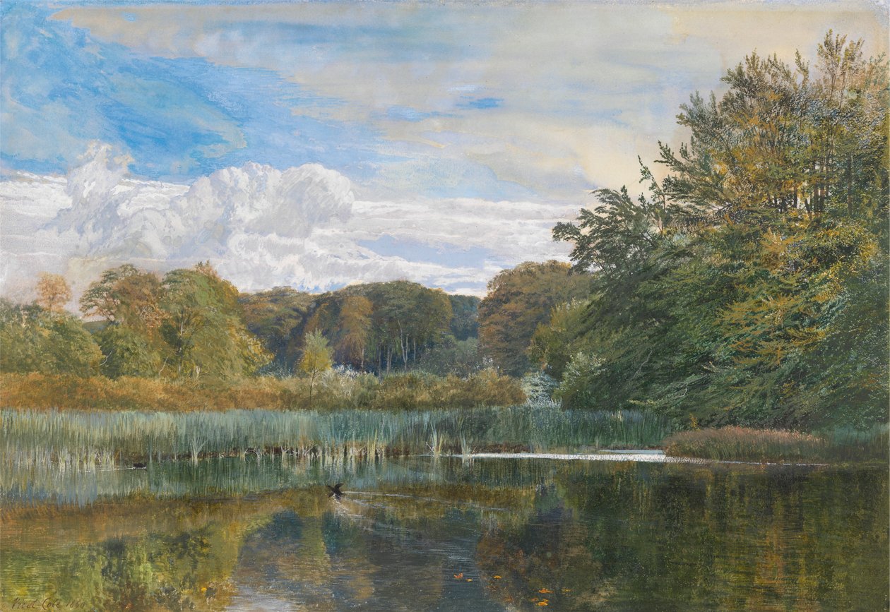 Staw Młyński, Evelyn Woods autorstwa George Vicat Cole