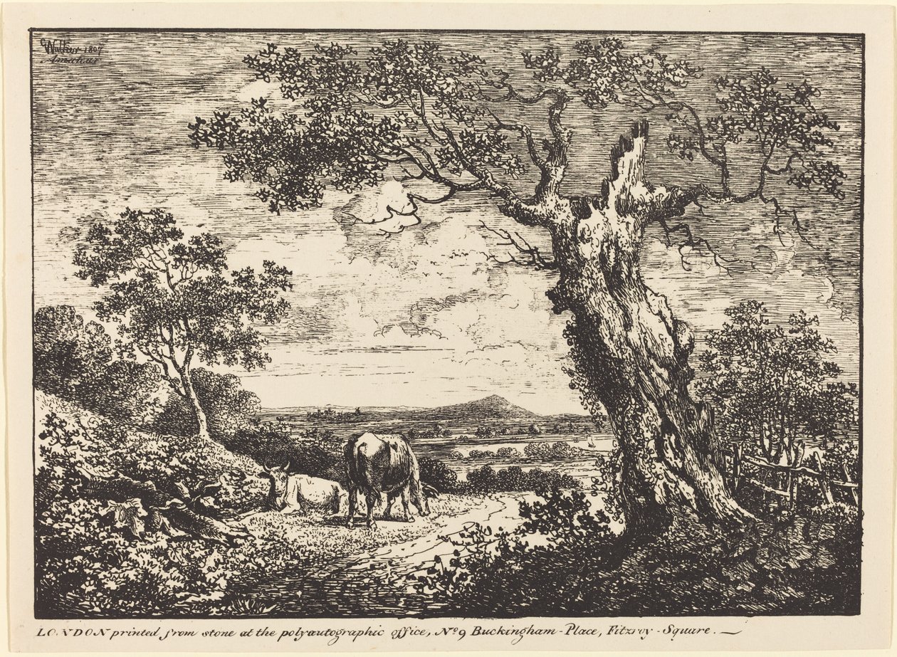 Krajobraz z dwiema krowami autorstwa George Walker