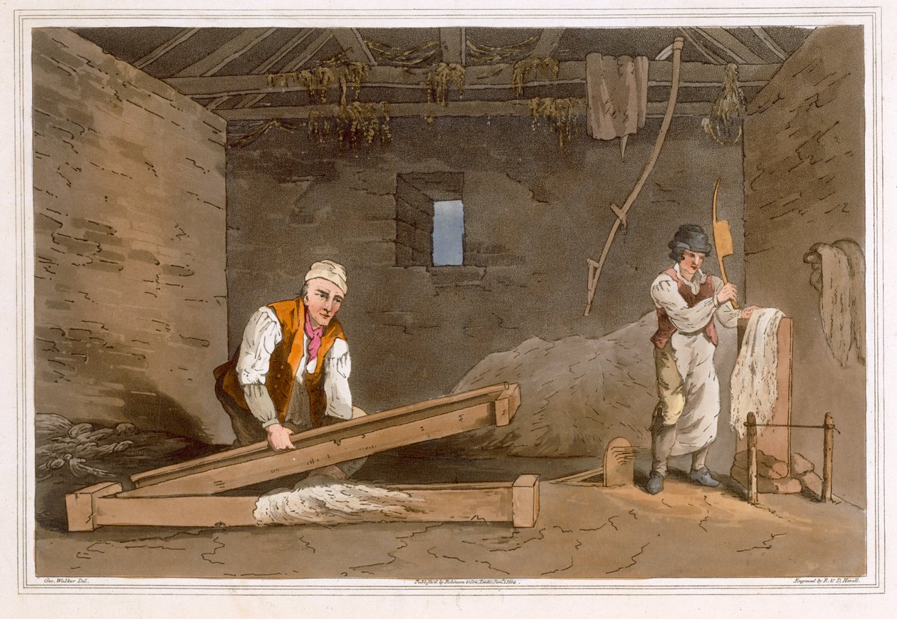 Line Swinglers grawerowane przez Roberta Havell the Elder, opublikowane w 1814 przez Robinson and Son, Leeds autorstwa George Walker