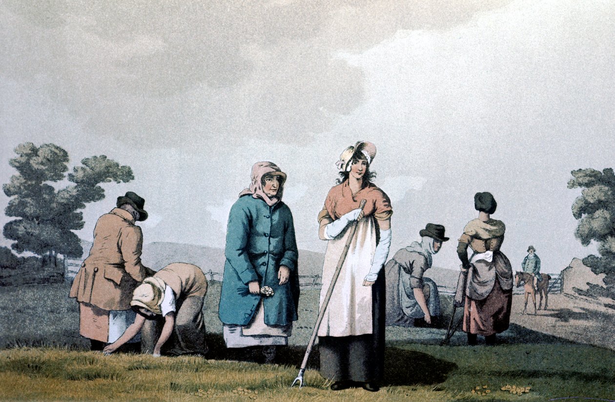 Lowkers - kobiety, które pieli kukurydzę, 1814 autorstwa George Walker of Seacroft