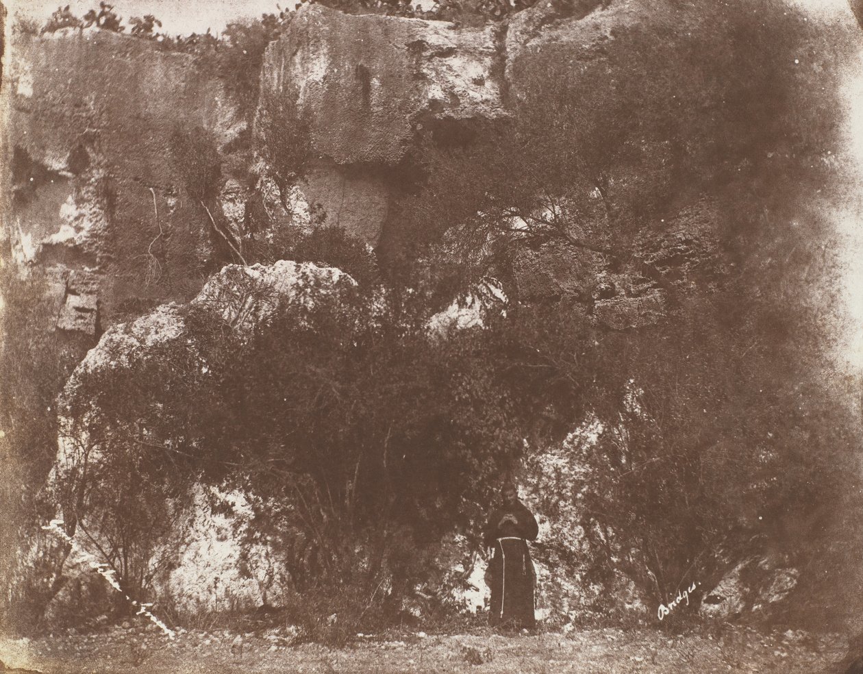 Ogród Selvia, Syrakuzy, Sycylia, 1846. autorstwa George Wilson Bridges