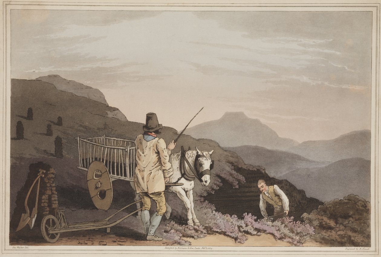 Wózek torfowy, z filmu The Costume of Yorkshire, grawerowane przez Roberta Havella, 1814 (akwatinta ręcznie kolorowana) autorstwa George after Walker