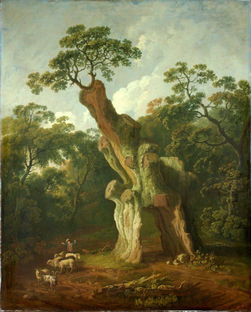 Widok dębu Greendale w parku Welbeck (olej na płótnie) autorstwa George the Elder Barret