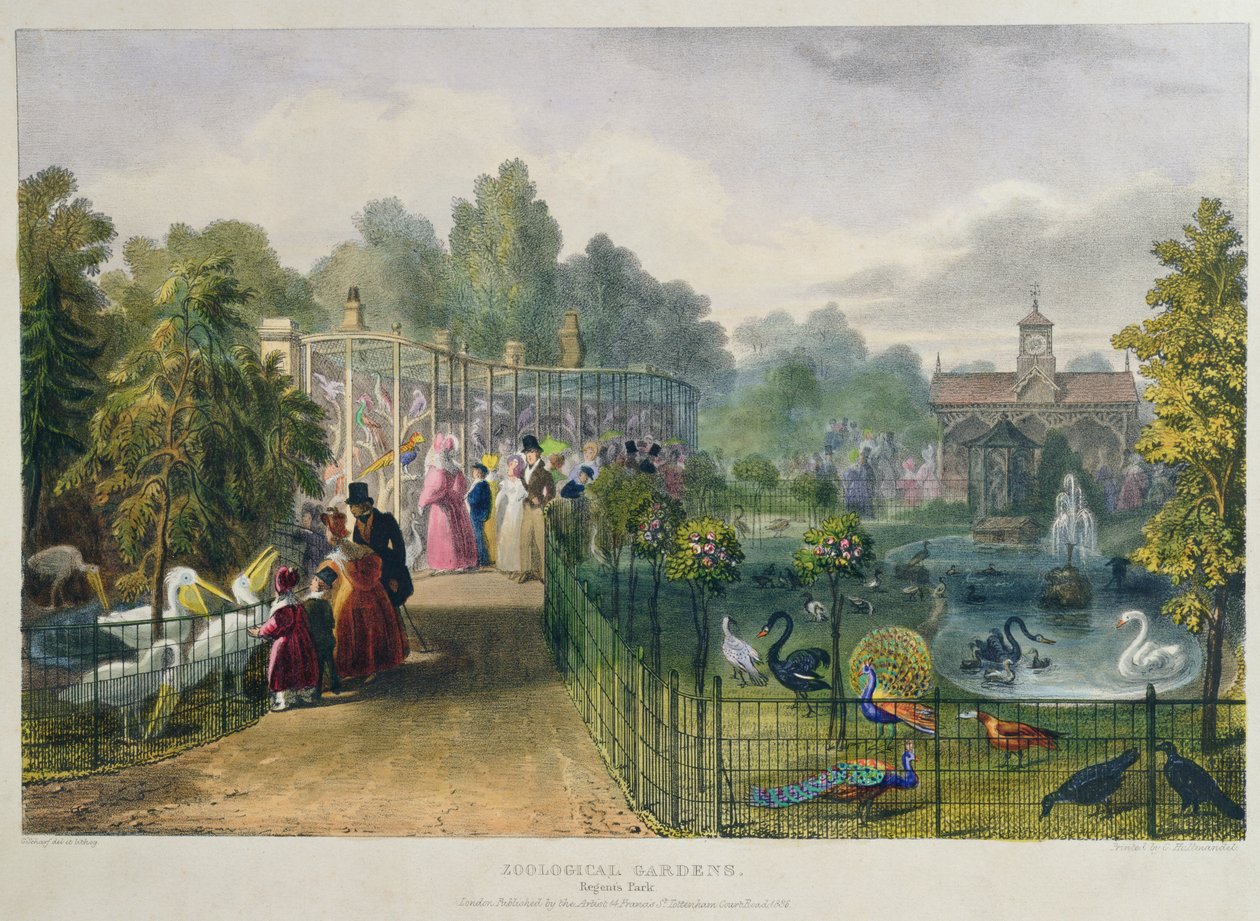Woliera przy Ogrodzie Zoologicznym, Regents Park, grawerowana i pub. przez artystę, druk Charles Hullmandel (1789-1850), 1836 autorstwa George the Elder Scharf
