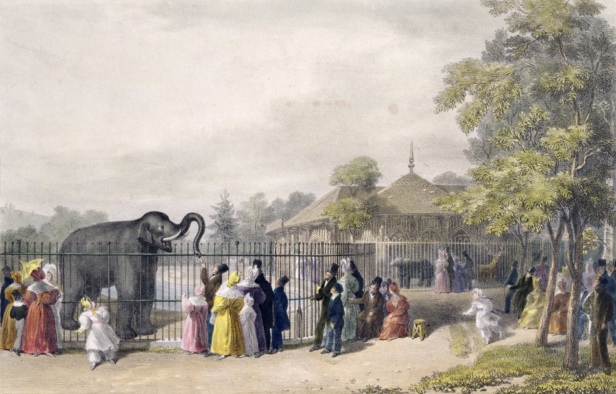 Dramblio namas zoologijos soduose, Regento parke, graviruotas ir baras. dailininko, atspausdino Charles Hullmandel (1789-1850), 1835 poli autorstwa George the Elder Scharf