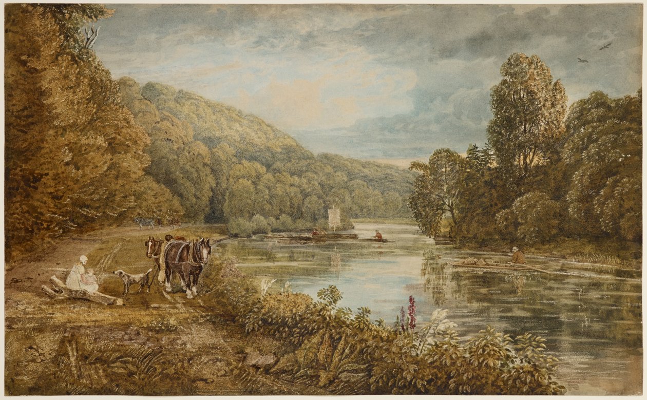 Cliveden Woods, ok. 1812 (akwarela na papierze) autorstwa George the Younger Barret