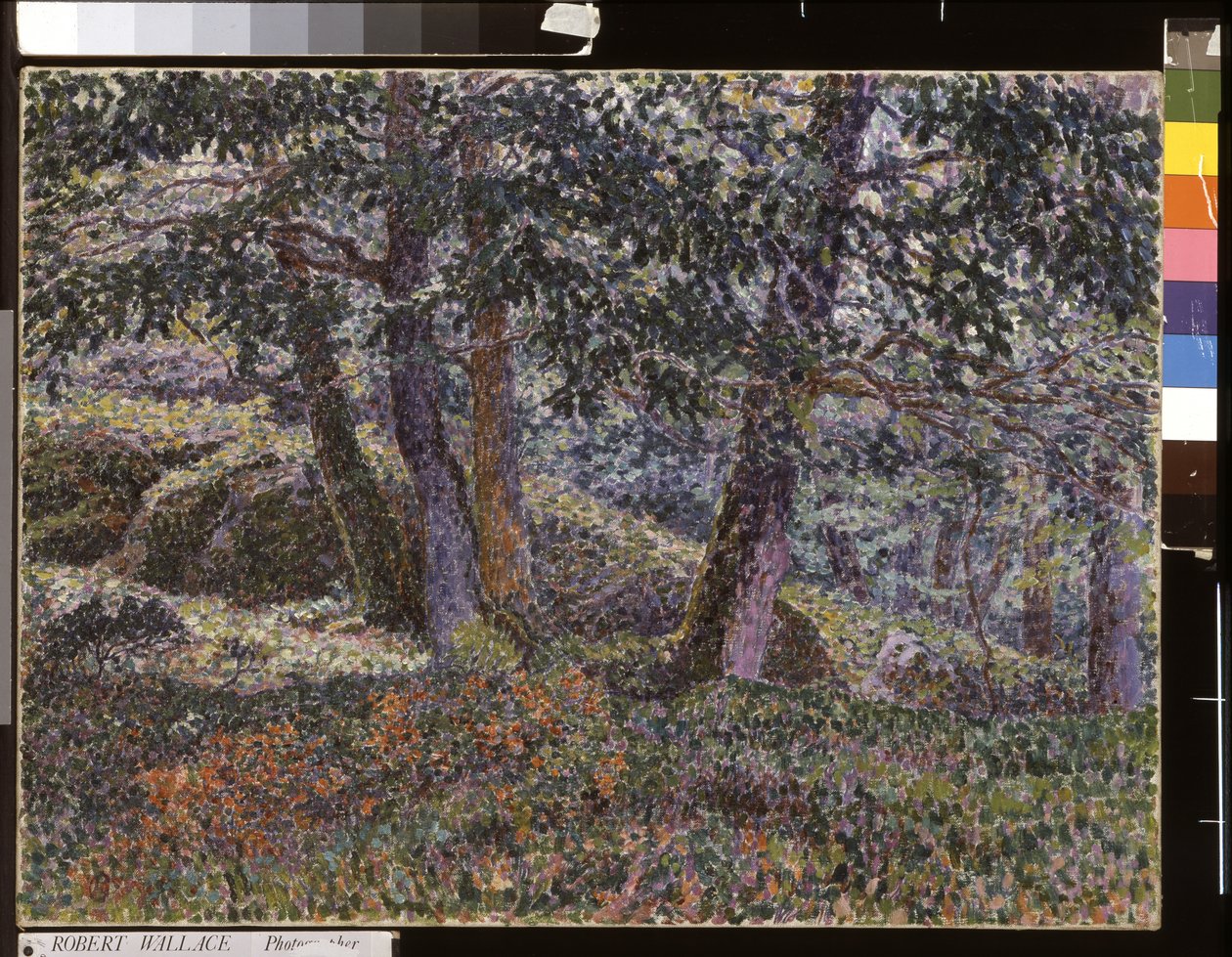 Dęby i krzewy jagodowe (olej na płótnie) autorstwa Georges Lacombe