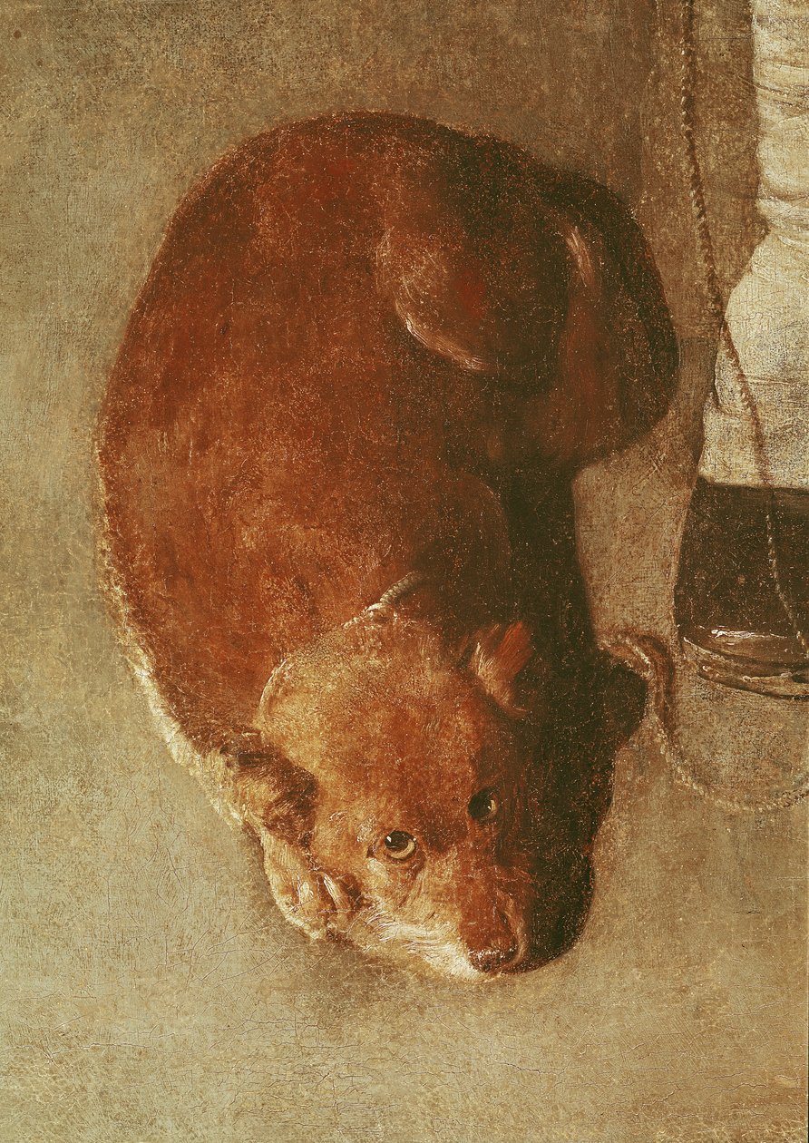 Gracz liry korbowej ze swoim psem, ok. 1620 (szczegóły) (patrz także 67918) autorstwa Georges de La Tour