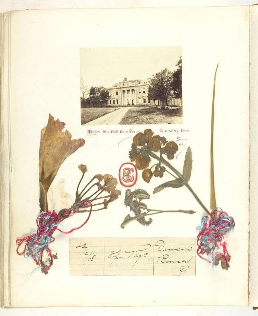 Bez tytułu [widok Broadlands z suszonymi kwiatami], 1868. autorstwa Georgina Cowper