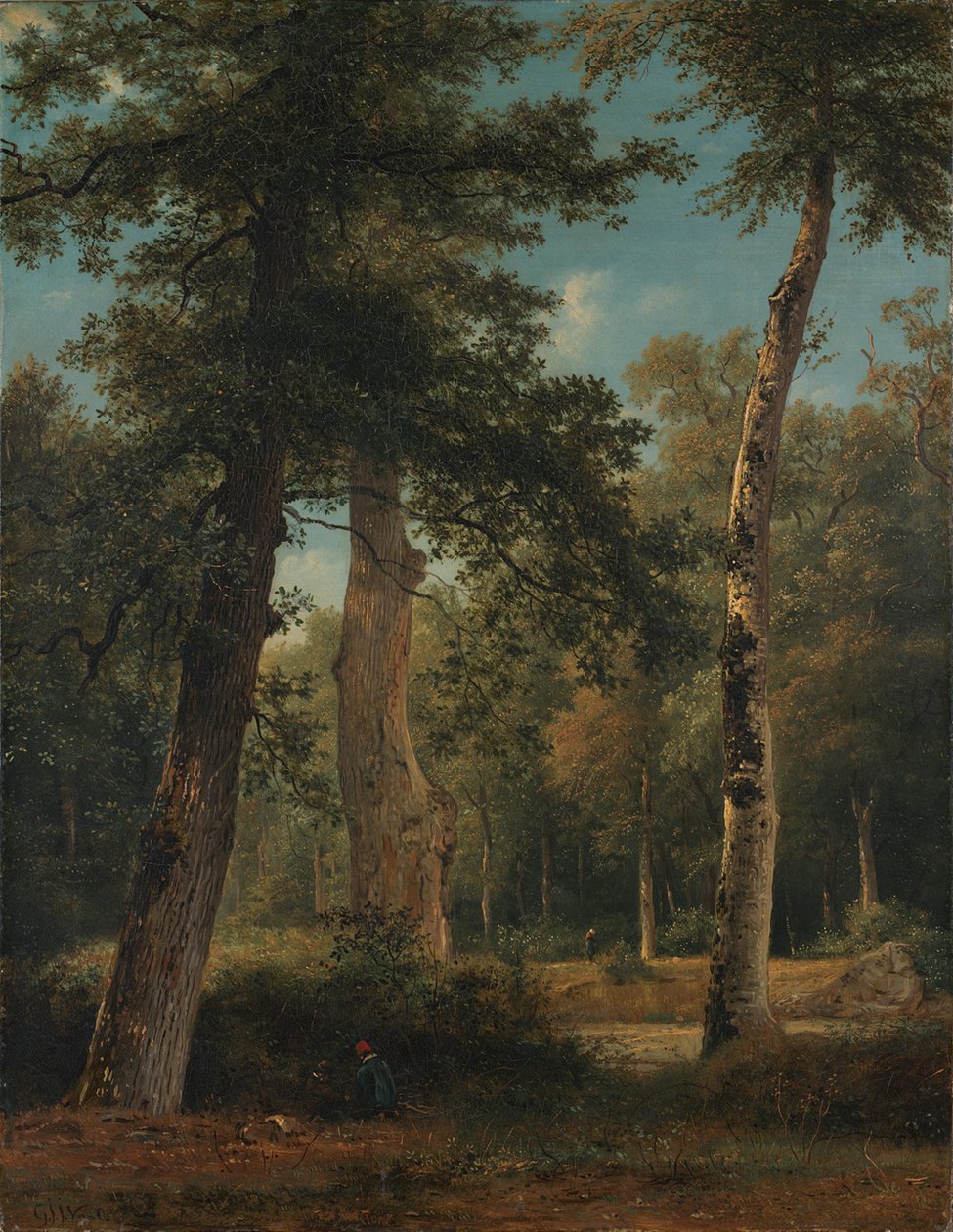 Las w Fontainebleau autorstwa Georgius Jacobus Johannes van Os