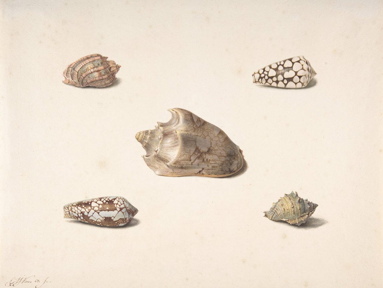 Pięć pocisków, b.d. autorstwa Georgius Jacobus Johannes van Os