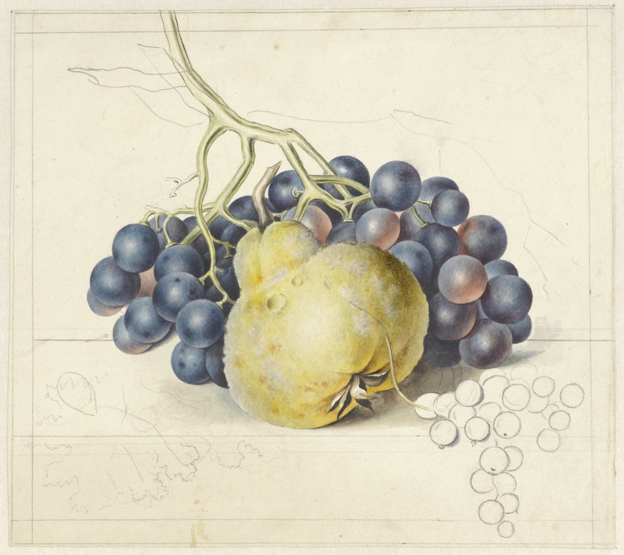 Martwa natura z winogronami i gruszką autorstwa Georgius Jacobus Johannes van Os