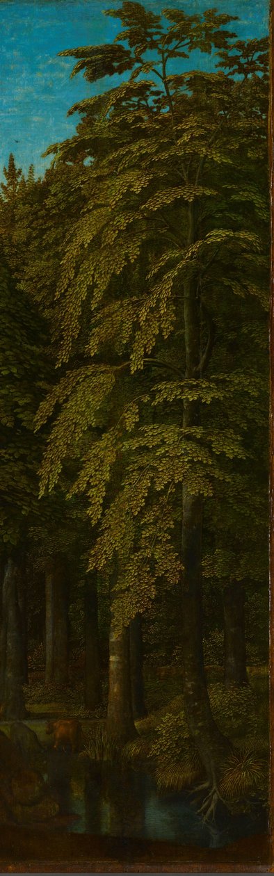 Äußere rechte Flügel eines Triptychons mit Blick in einen Wald autorstwa Gerard David