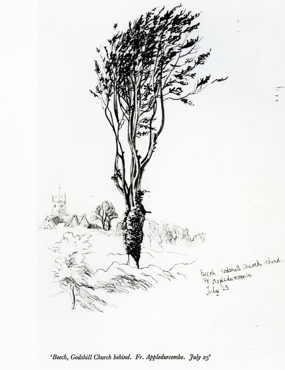 Buk, za kościołem Godshill. Ks. Appledurcombe. 25 lipca, ok. 1860 autorstwa Gerard Manley Hopkins