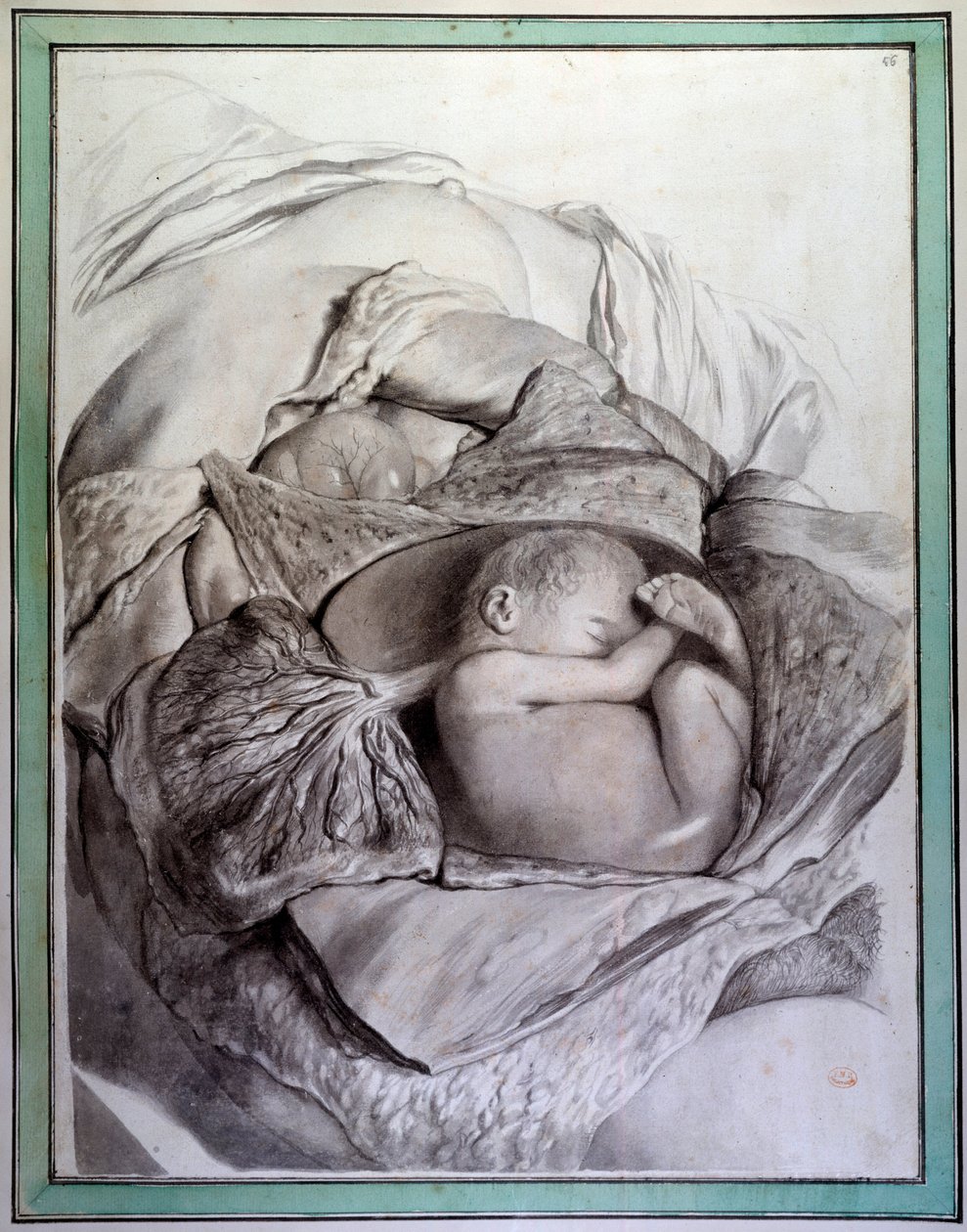 Przedstawienie płodu człowieka w macicy Grawer Gerarda de Lairesse (1640-1711) ilustrujący „Anatomia Humani Corporis” Goverta Bidloo (lub Govarda) (1649-1713) XVIII-wieczna Biblioteka Wydziału Lekarskiego, Paryż autorstwa Gerard de Lairesse