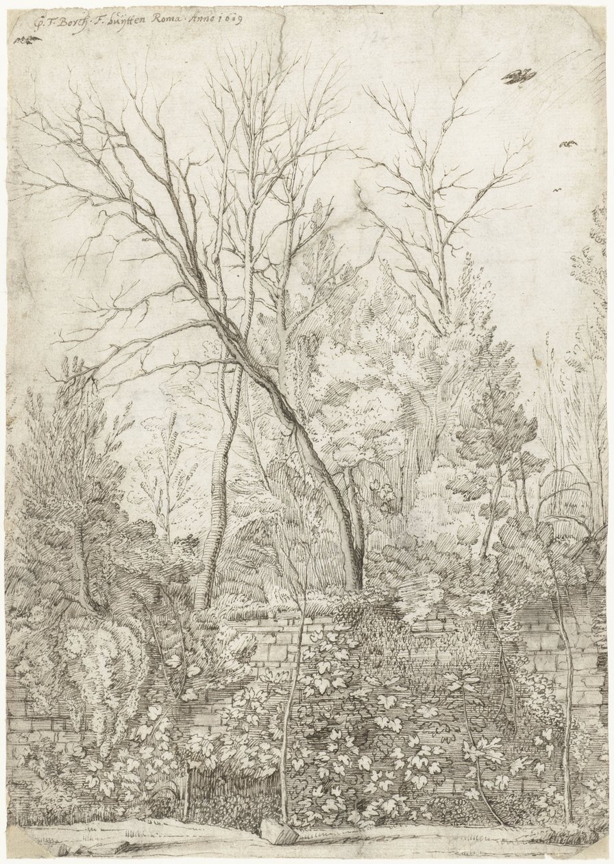 Ogród Villa Madama, poza Rzymem autorstwa Gerard ter Borch