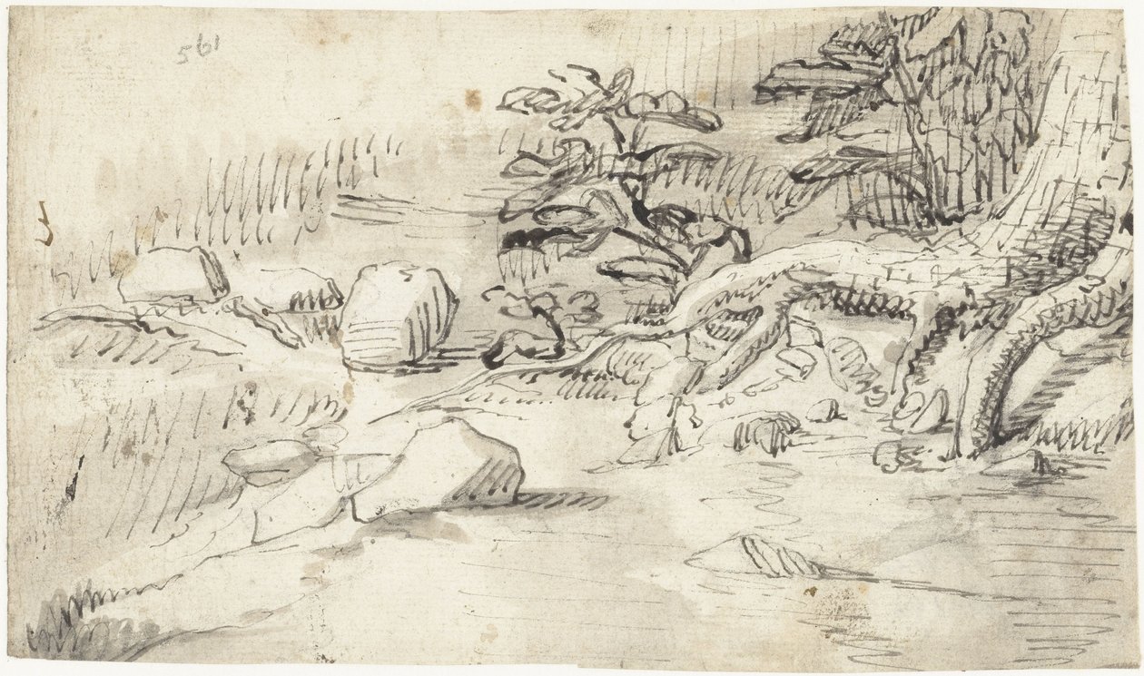 Badanie korzeni drzewa w pobliżu strumienia autorstwa Gerard ter Borch (I)