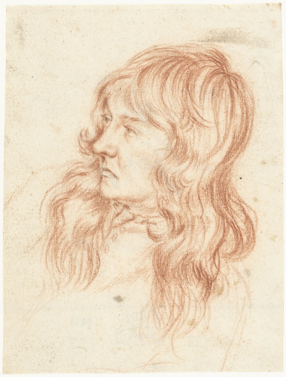 Głowa młodego mężczyzny po lewej autorstwa Gerard ter Borch (II)