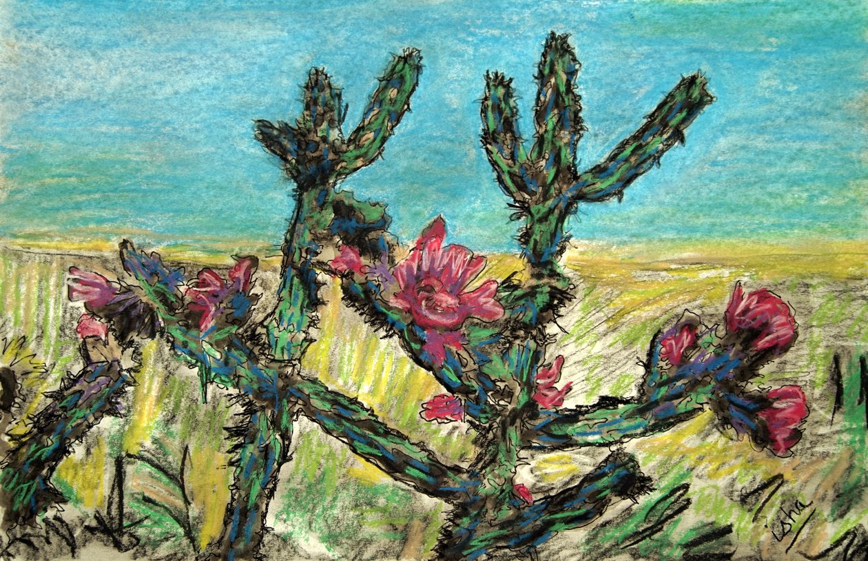 Cholla w rozkwicie, 2017 (rysunek na papierze) autorstwa Gerhardt Isringhaus