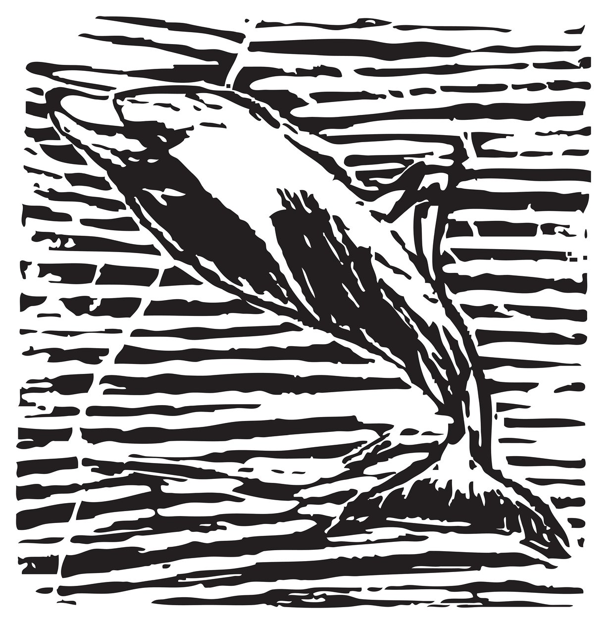 Delfin autorstwa Gerhardt Isringhaus