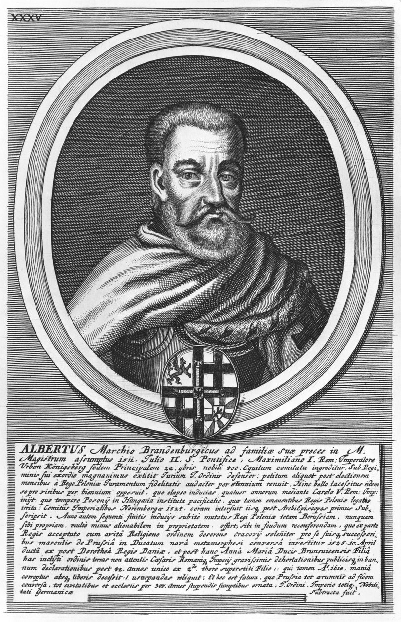 Albert z Brandenburgii (ksylograf) autorstwa German School