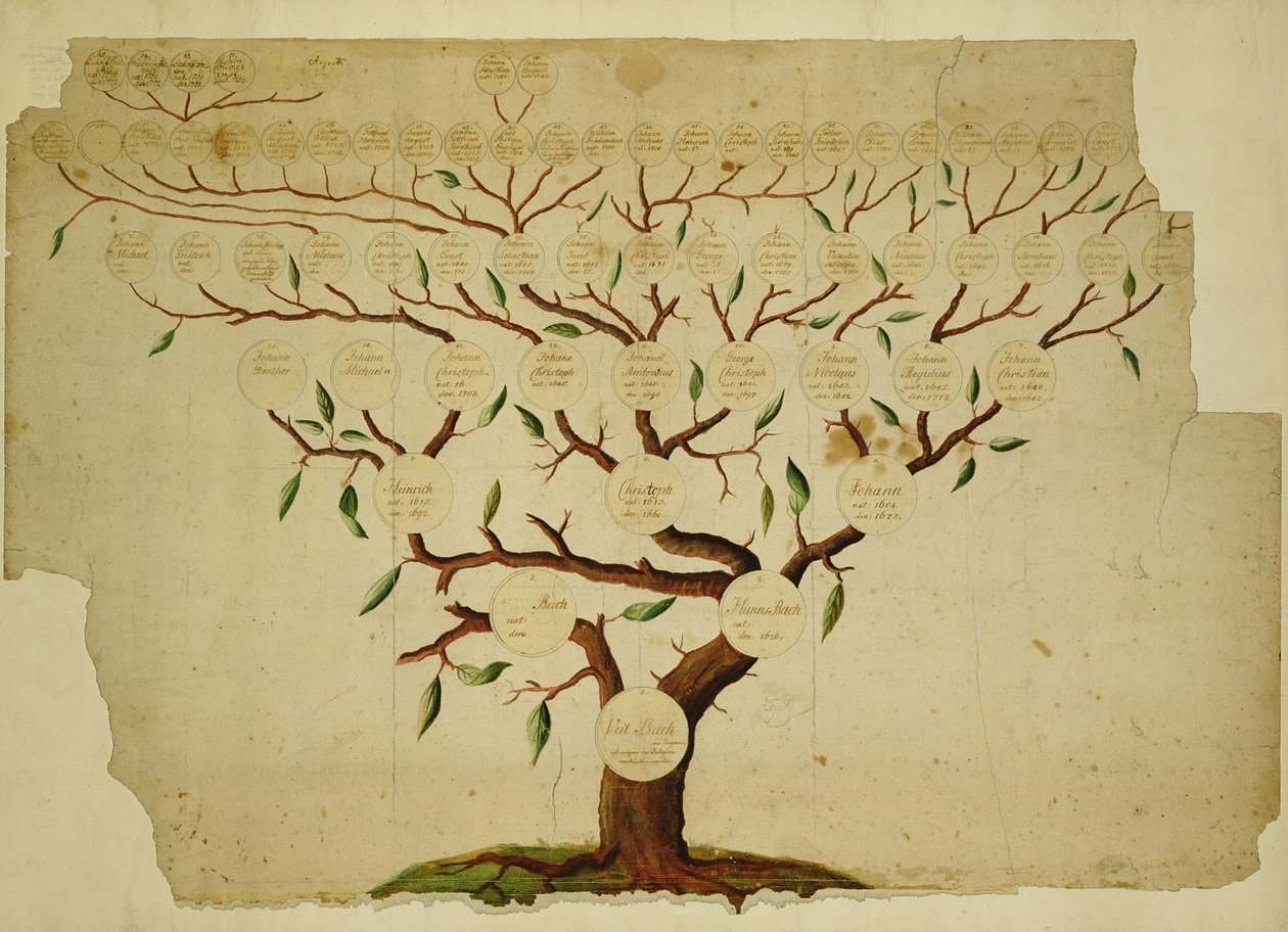 Drzewo genealogiczne Bacha, ok. 1750-1770 (pióro, atrament i ołówek na papierze) autorstwa German School