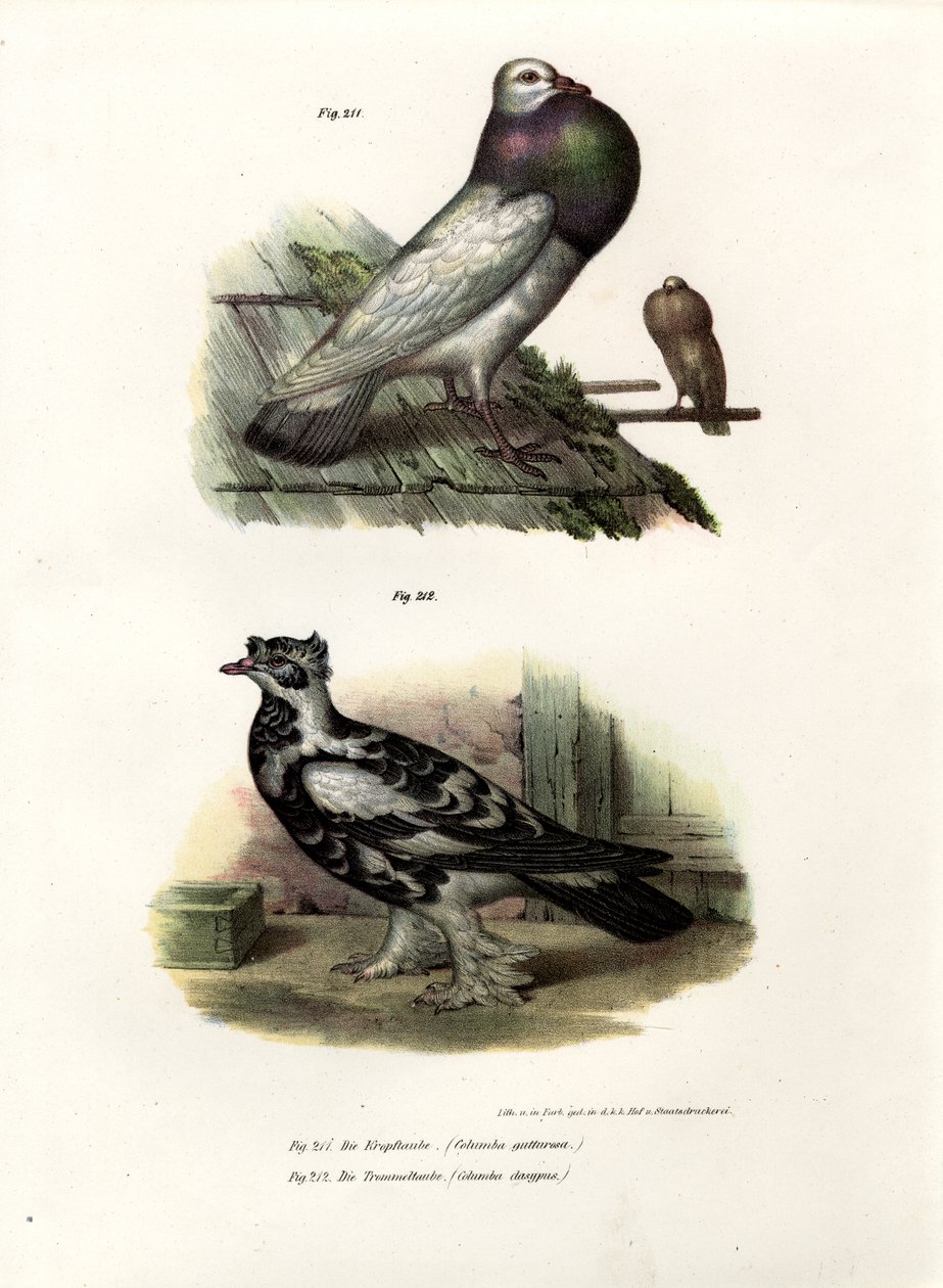Angielski rolnik, 1864 autorstwa German School