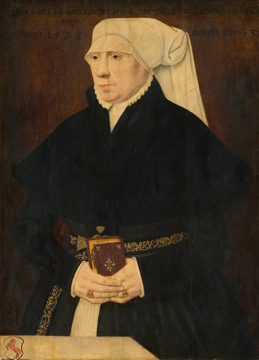 Portret damy autorstwa German 16th Century