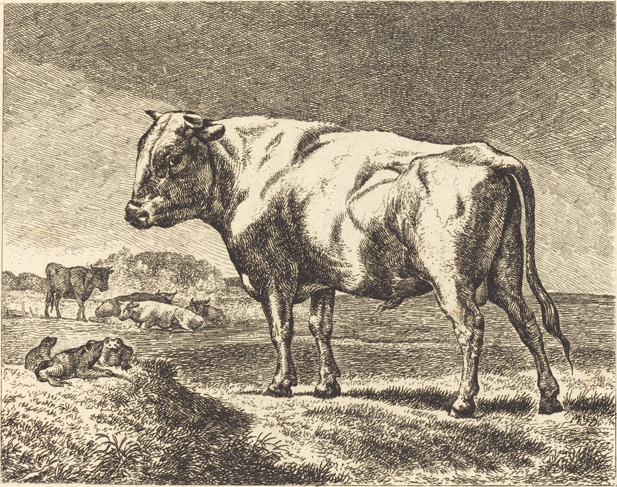 Krowa autorstwa German 19th Century