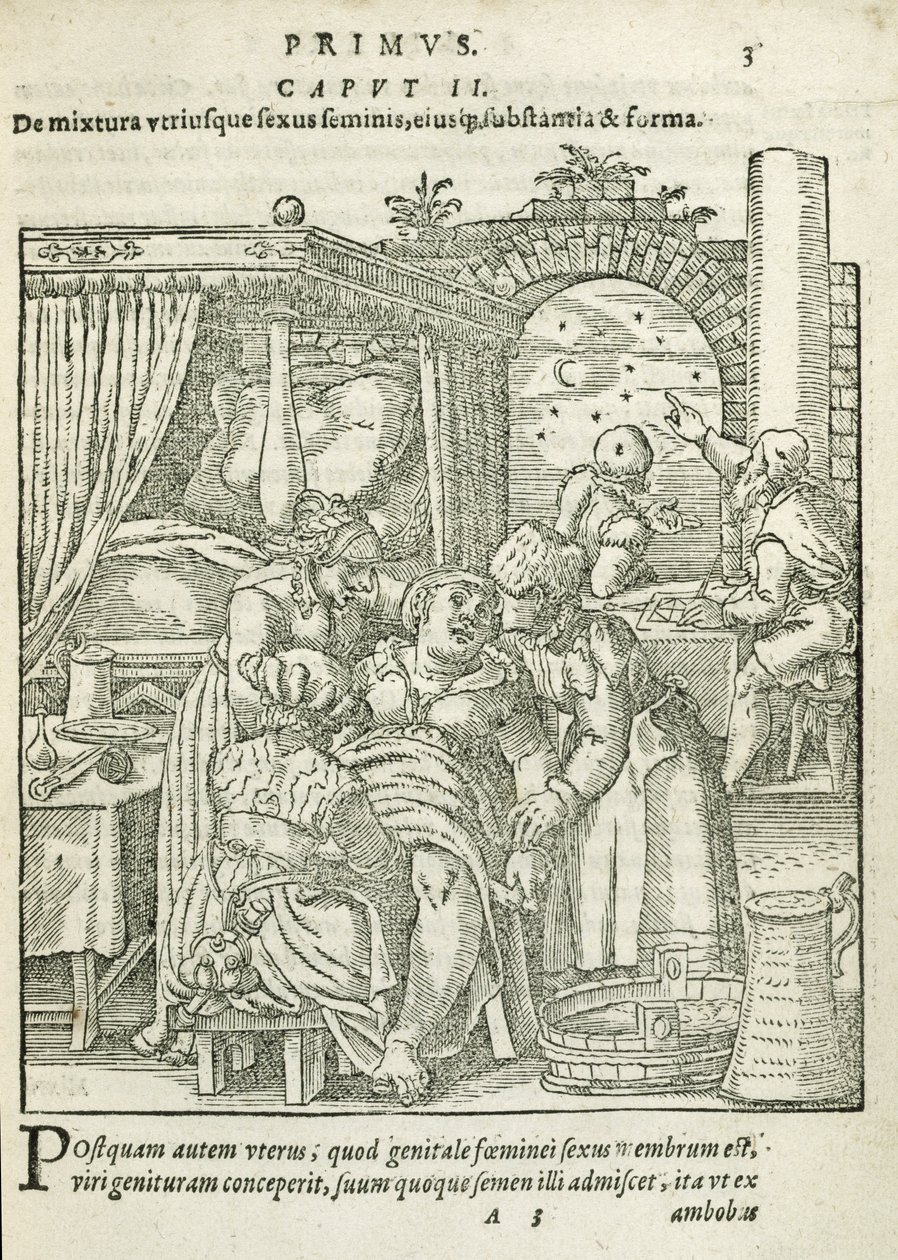 Kobieta w pracy, ilustracja z rozdziału 2, księga 1 O poczęciu i rozwoju człowieka Rueffa, 1587 autorstwa German School
